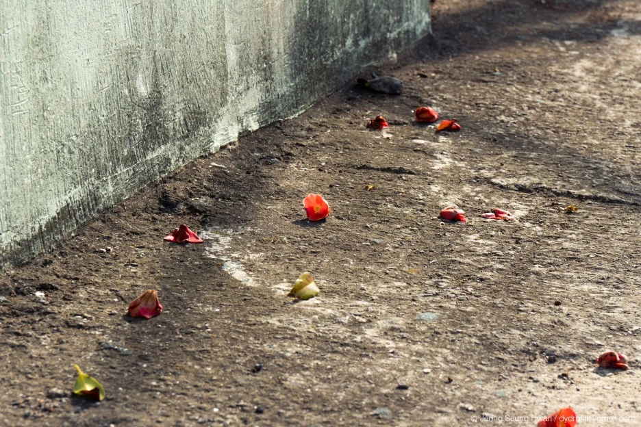 20220407-%EC%98%AC%EB%A0%8812-89.jpg?type=w1