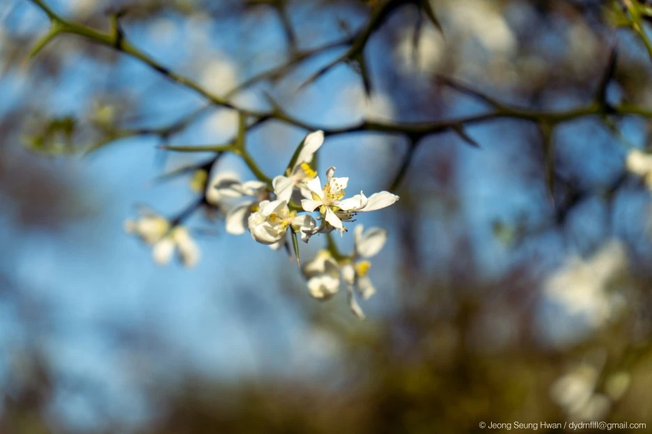 %EB%A7%88%EC%A7%80%EB%A7%89-72.jpg?type=w1