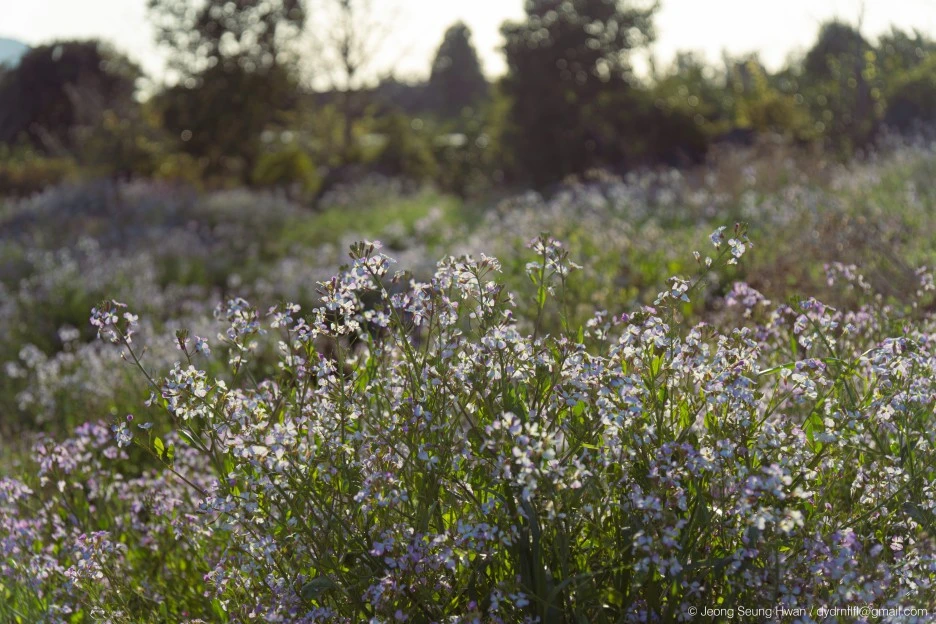 %EB%A7%88%EC%A7%80%EB%A7%89-74.jpg?type=w1