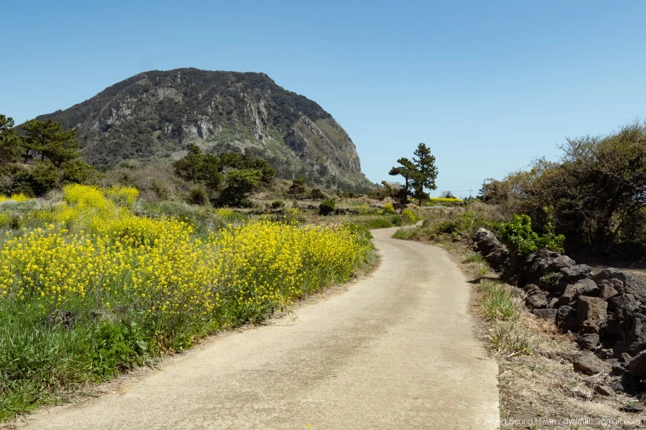 %EB%A7%88%EC%A7%80%EB%A7%89-43.jpg?type=w1