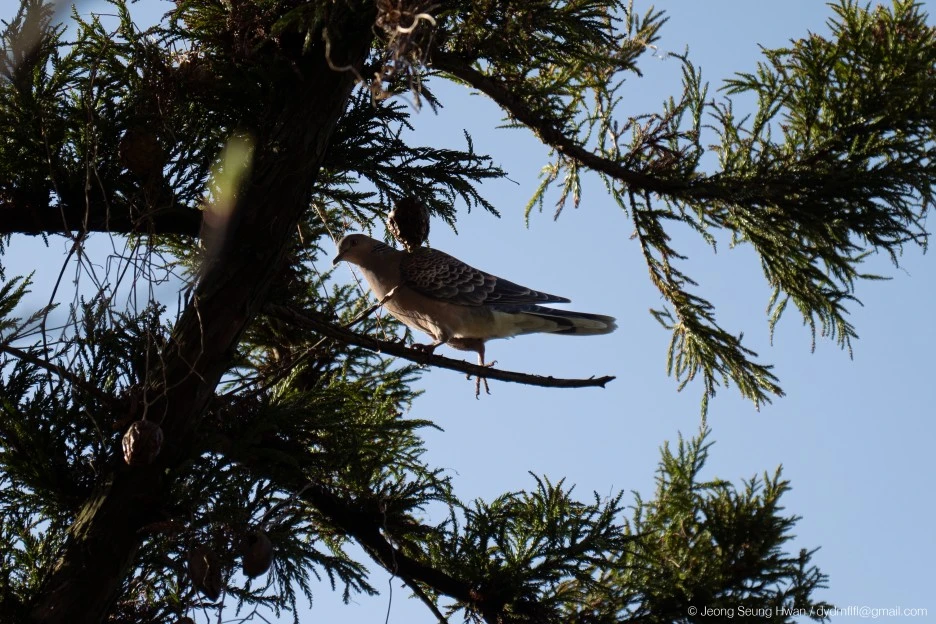 %EB%A7%88%EC%A7%80%EB%A7%89-12.jpg?type=w1