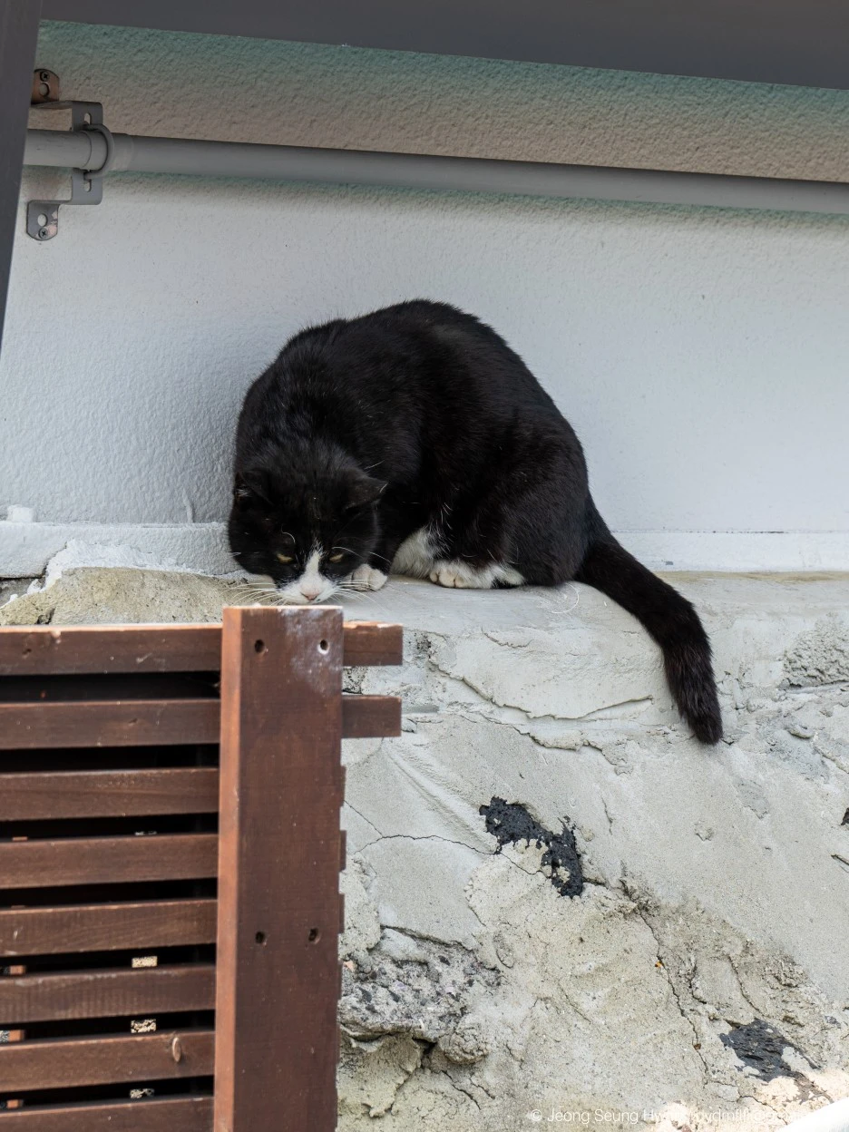 20220407-%EC%98%AC%EB%A0%8812-48.jpg?type=w1