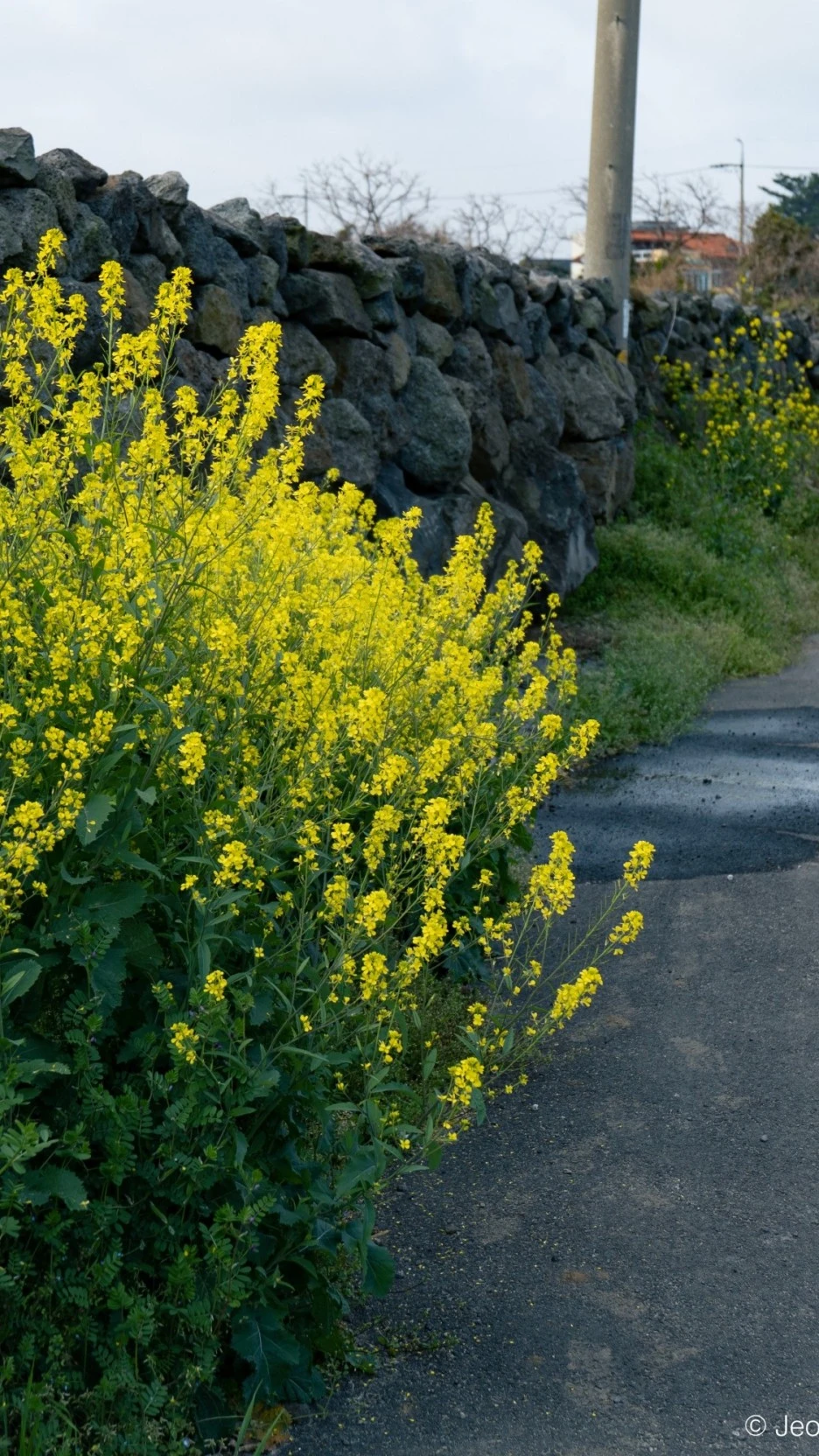 20220407-%EC%98%AC%EB%A0%8812-24.jpg?type=w1