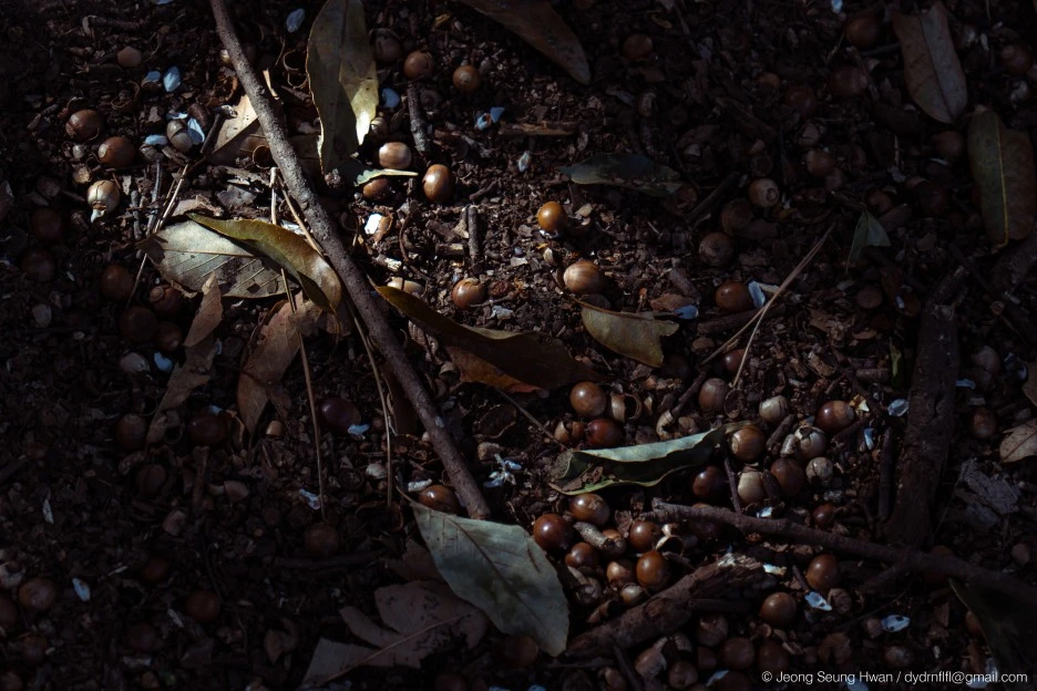 %EB%A7%88%EC%A7%80%EB%A7%89-22.jpg?type=w1