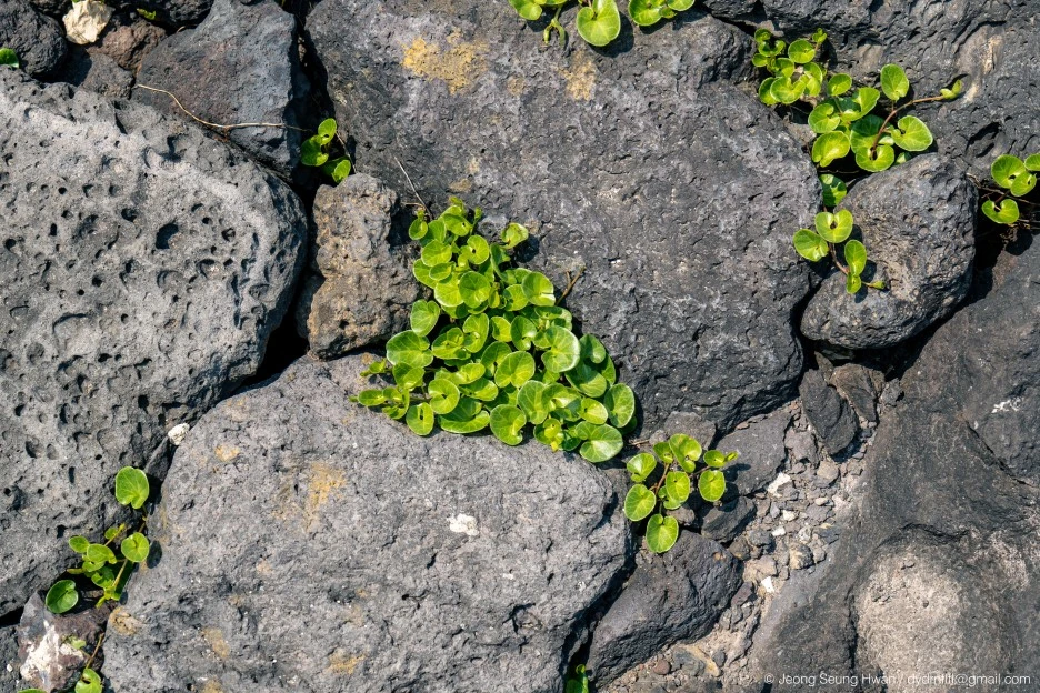 20220407-%EC%98%AC%EB%A0%8812-25.jpg?type=w1