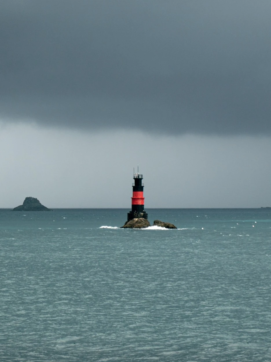 SE-d9ec295a-24c0-4e9d-8307-f8e5c1fe5002.jpg?type=w1