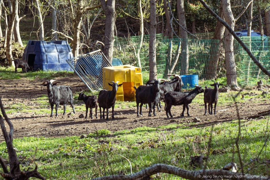 %EB%A7%88%EC%A7%80%EB%A7%89-18.jpg?type=w1