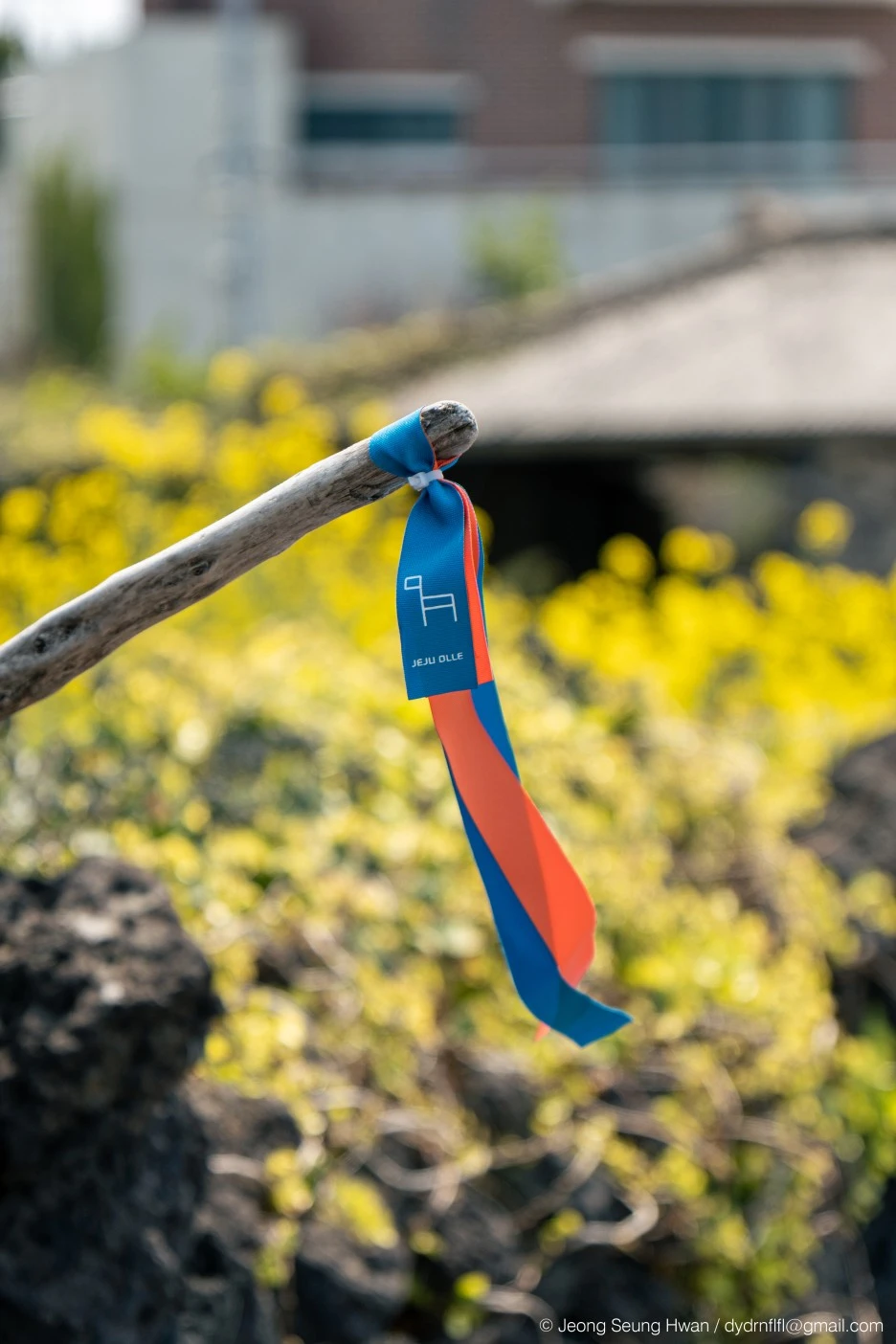 20220407-%EC%98%AC%EB%A0%8812-51.jpg?type=w1