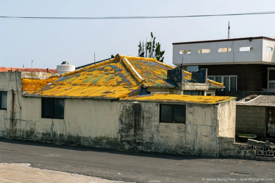 20220407-%EC%98%AC%EB%A0%8812-44.jpg?type=w1