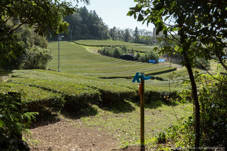 %EB%A7%88%EC%A7%80%EB%A7%89-29.jpg?type=w1