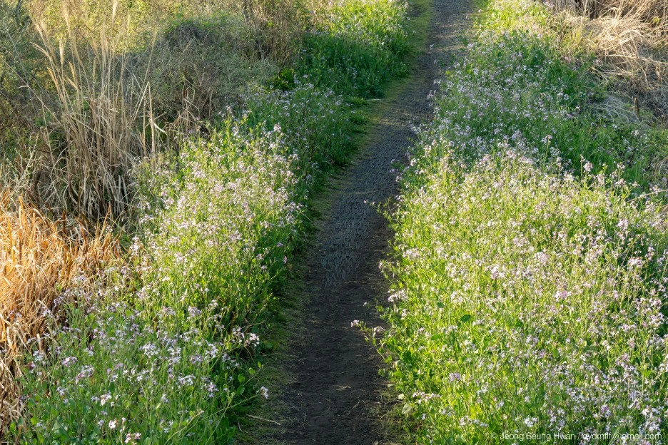 20220407-%EC%98%AC%EB%A0%8812-108.jpg?type=w1