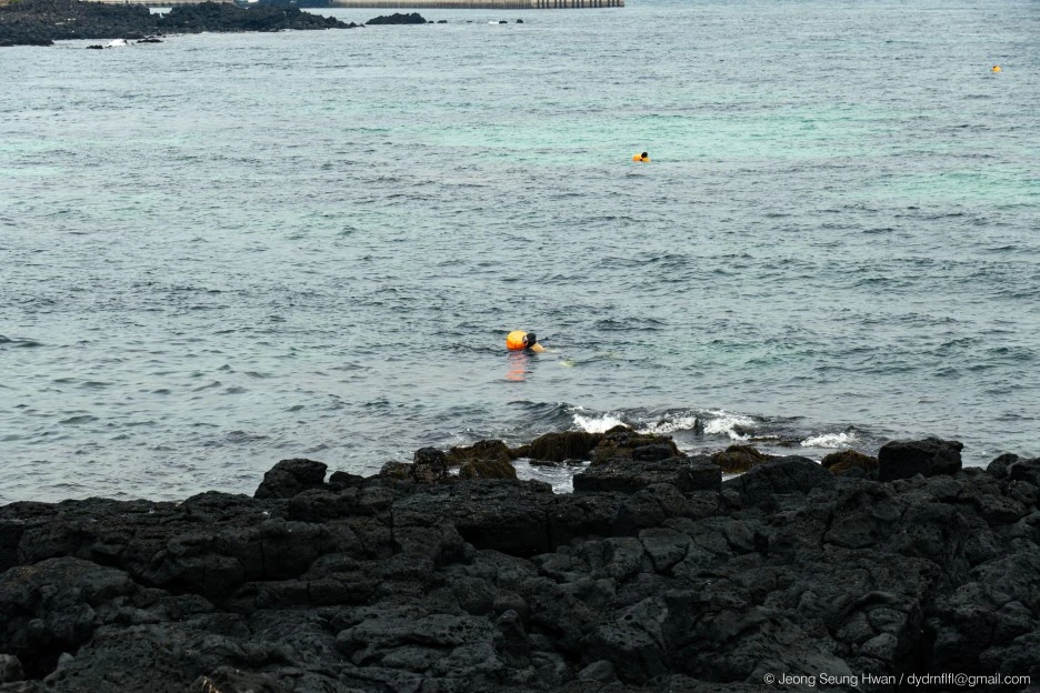 20220407-%EC%98%AC%EB%A0%8812-9.jpg?type=w1