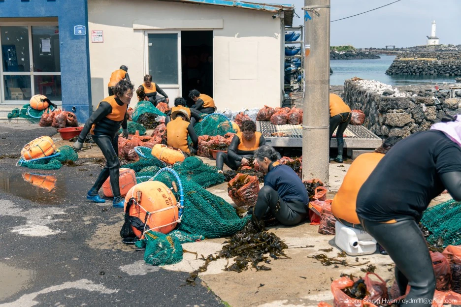 20220407-%EC%98%AC%EB%A0%8812-53.jpg?type=w1