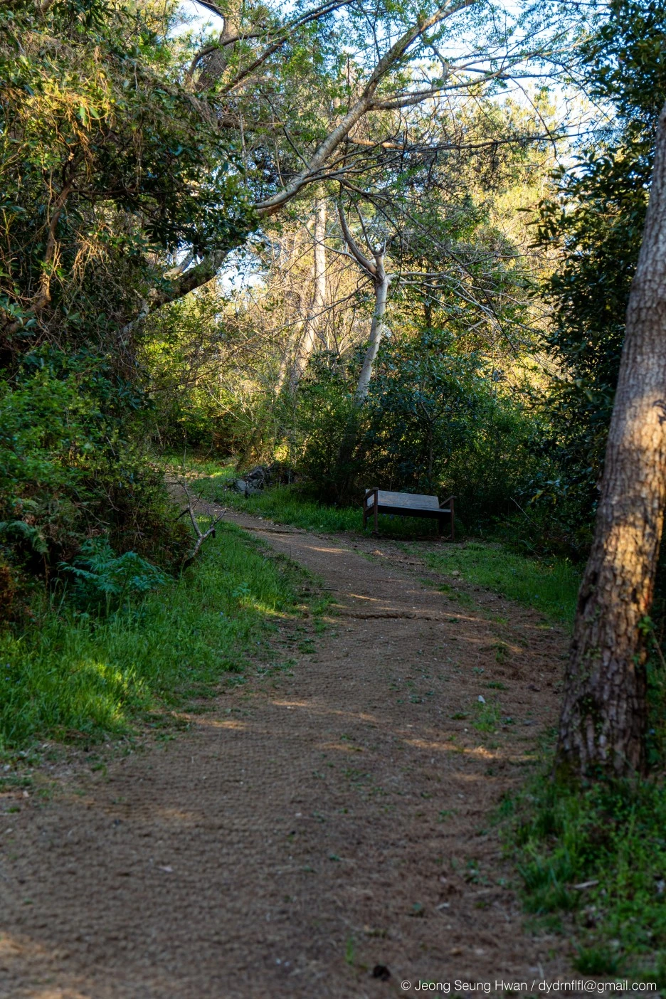 %EB%A7%88%EC%A7%80%EB%A7%89-83.jpg?type=w1