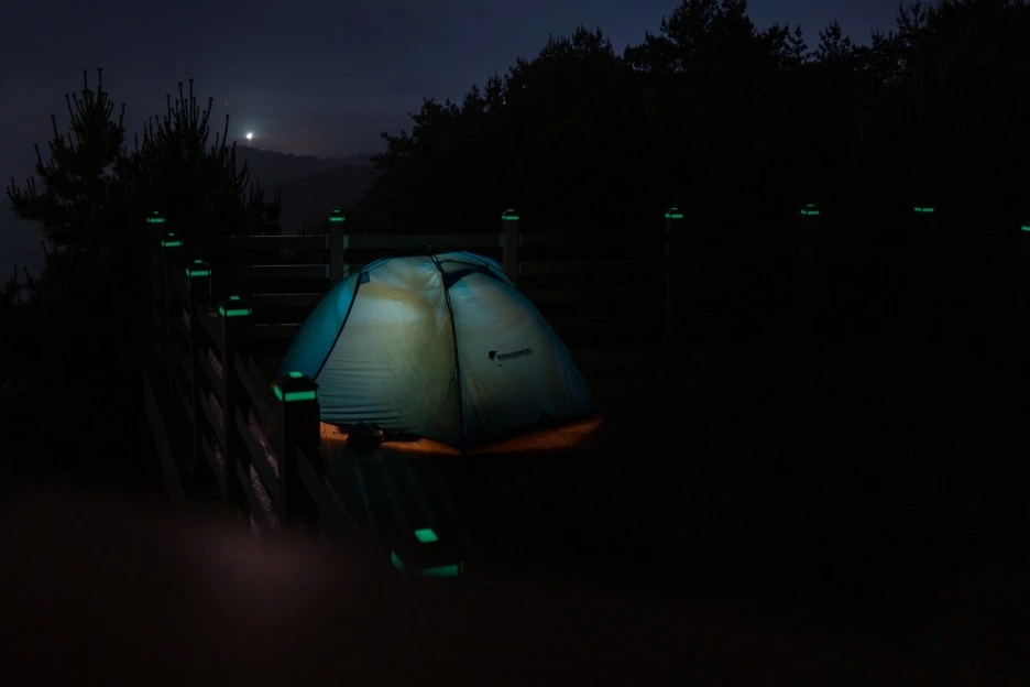 SE-b1bb26b3-7626-4655-b483-40e072e250de.jpg?type=w1