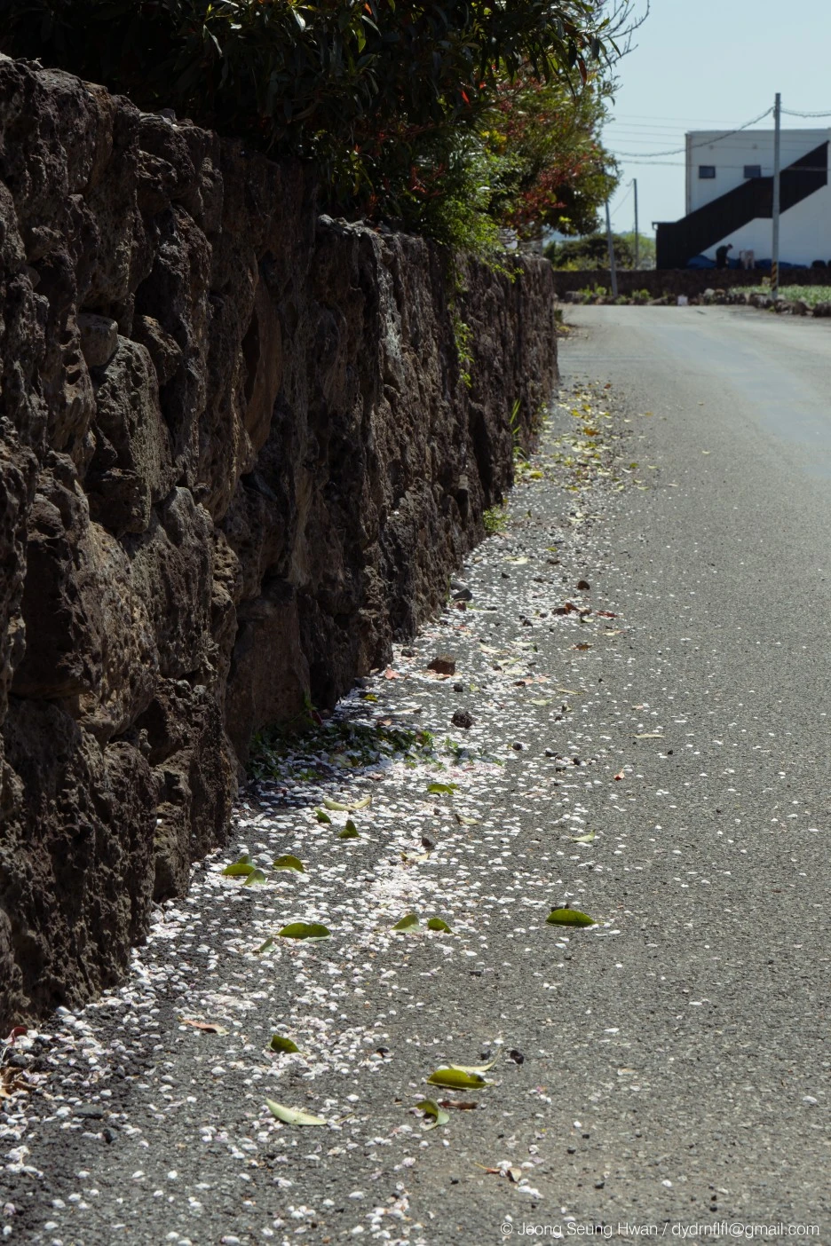 %EB%A7%88%EC%A7%80%EB%A7%89-41.jpg?type=w1