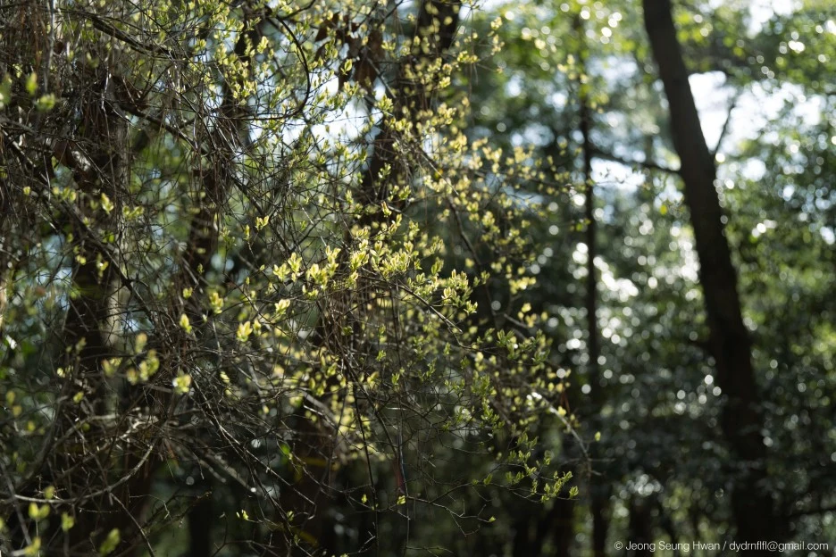 %EB%A7%88%EC%A7%80%EB%A7%89-24.jpg?type=w1