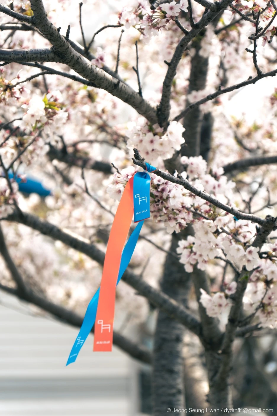 20220407-%EC%98%AC%EB%A0%8812-60.jpg?type=w1