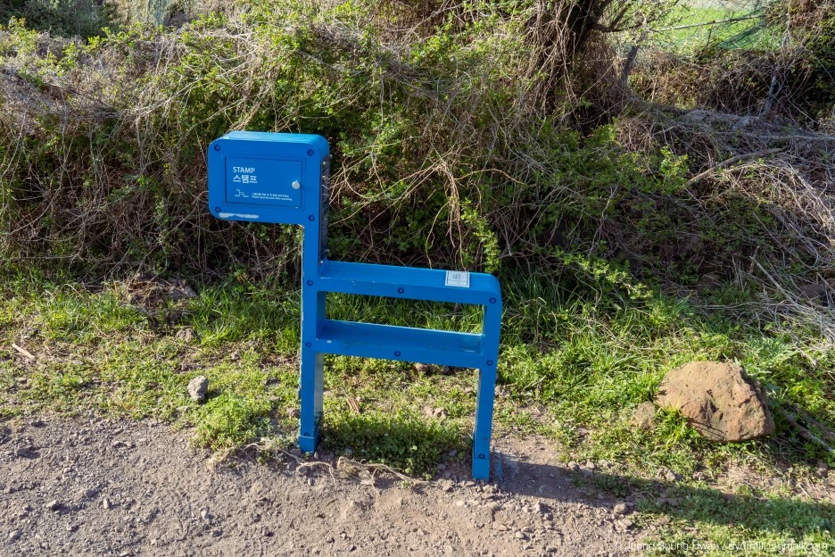 %EB%A7%88%EC%A7%80%EB%A7%89-13.jpg?type=w1