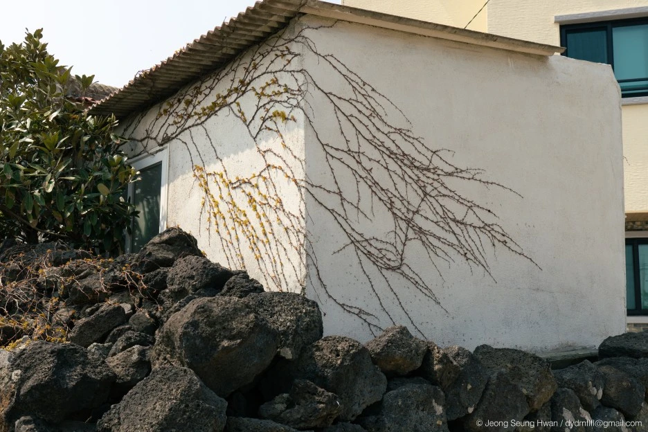 20220407-%EC%98%AC%EB%A0%8812-24.jpg?type=w1