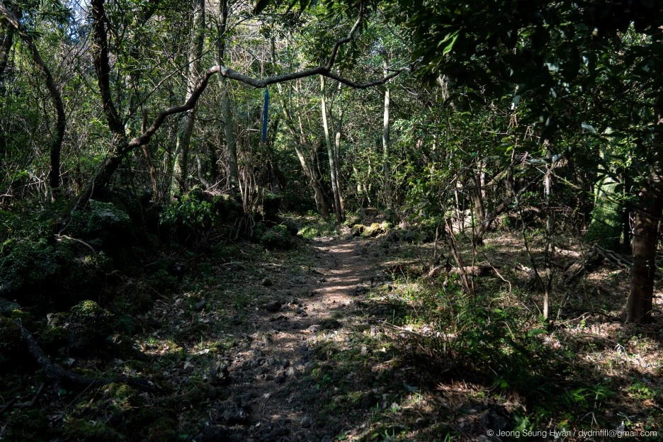 %EB%A7%88%EC%A7%80%EB%A7%89-21.jpg?type=w1