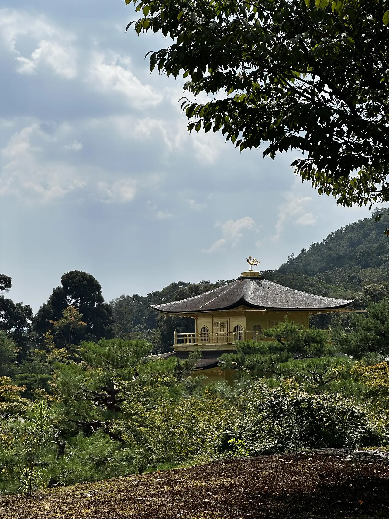 img.jpg?credential=yqXZFxpELC7KVnFOS48ylbz2pIh7yKj8&expires=1753973999&allow_ip=&allow_referer=&signature=zxmZLug2UyD2svJqYNVJPxW2aiI%3D