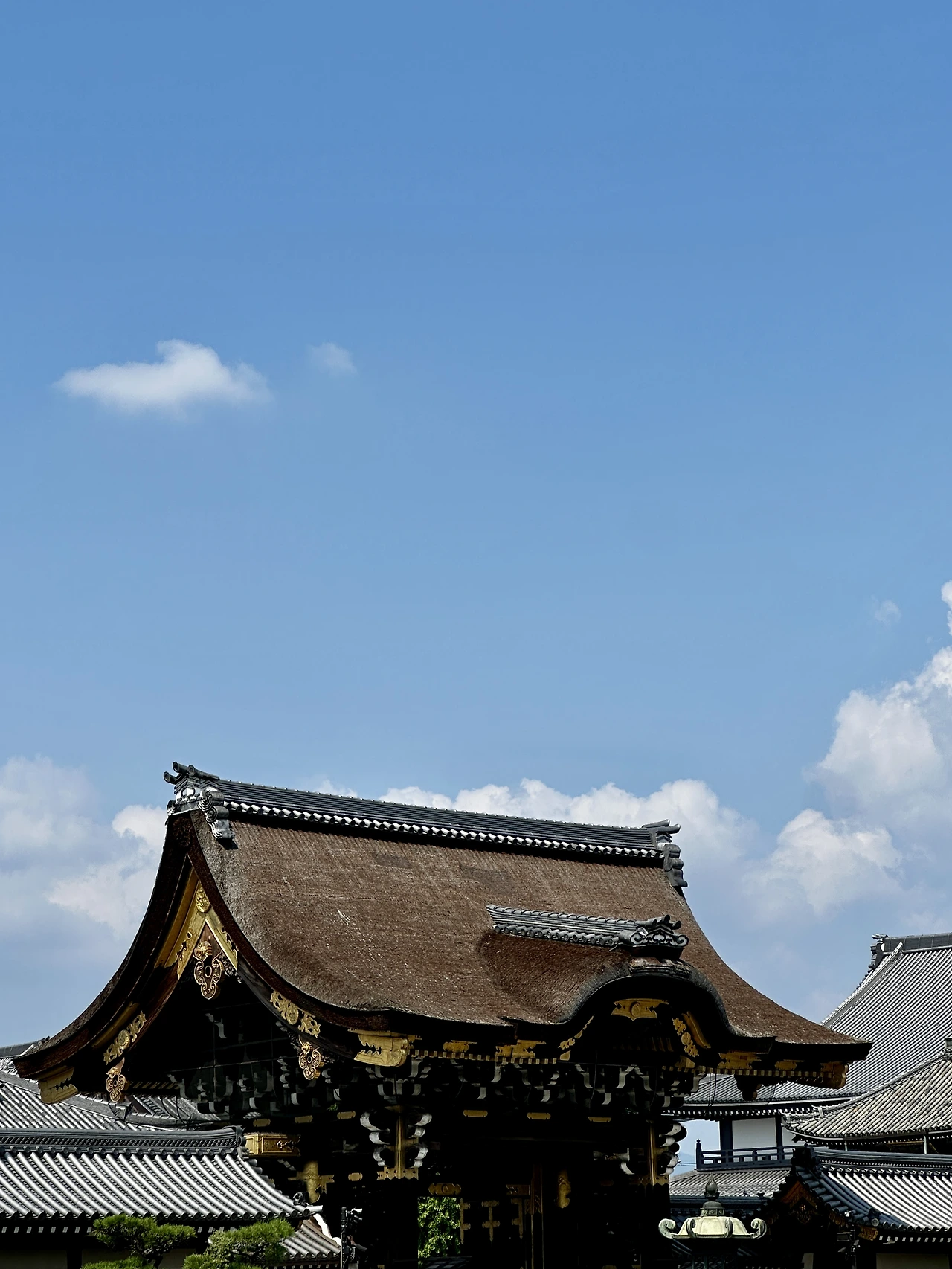 img.jpg?credential=yqXZFxpELC7KVnFOS48ylbz2pIh7yKj8&expires=1753973999&allow_ip=&allow_referer=&signature=Q9wj%2BYczbhbT9%2FjHcrLJd2XFOyc%3D