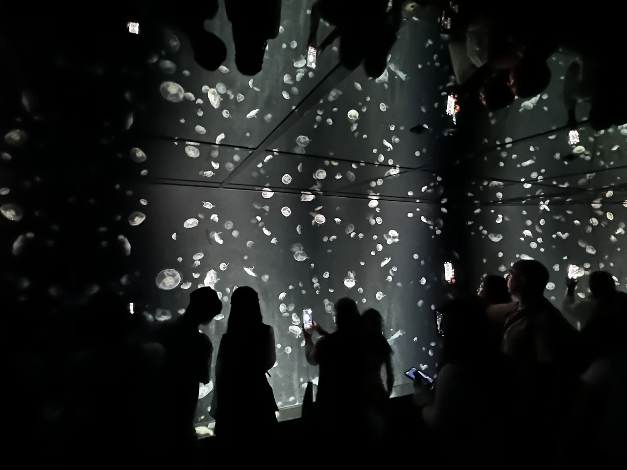 img.jpg?credential=yqXZFxpELC7KVnFOS48ylbz2pIh7yKj8&expires=1753973999&allow_ip=&allow_referer=&signature=ArvxGb396NFZXgItmOjzSDigtpo%3D