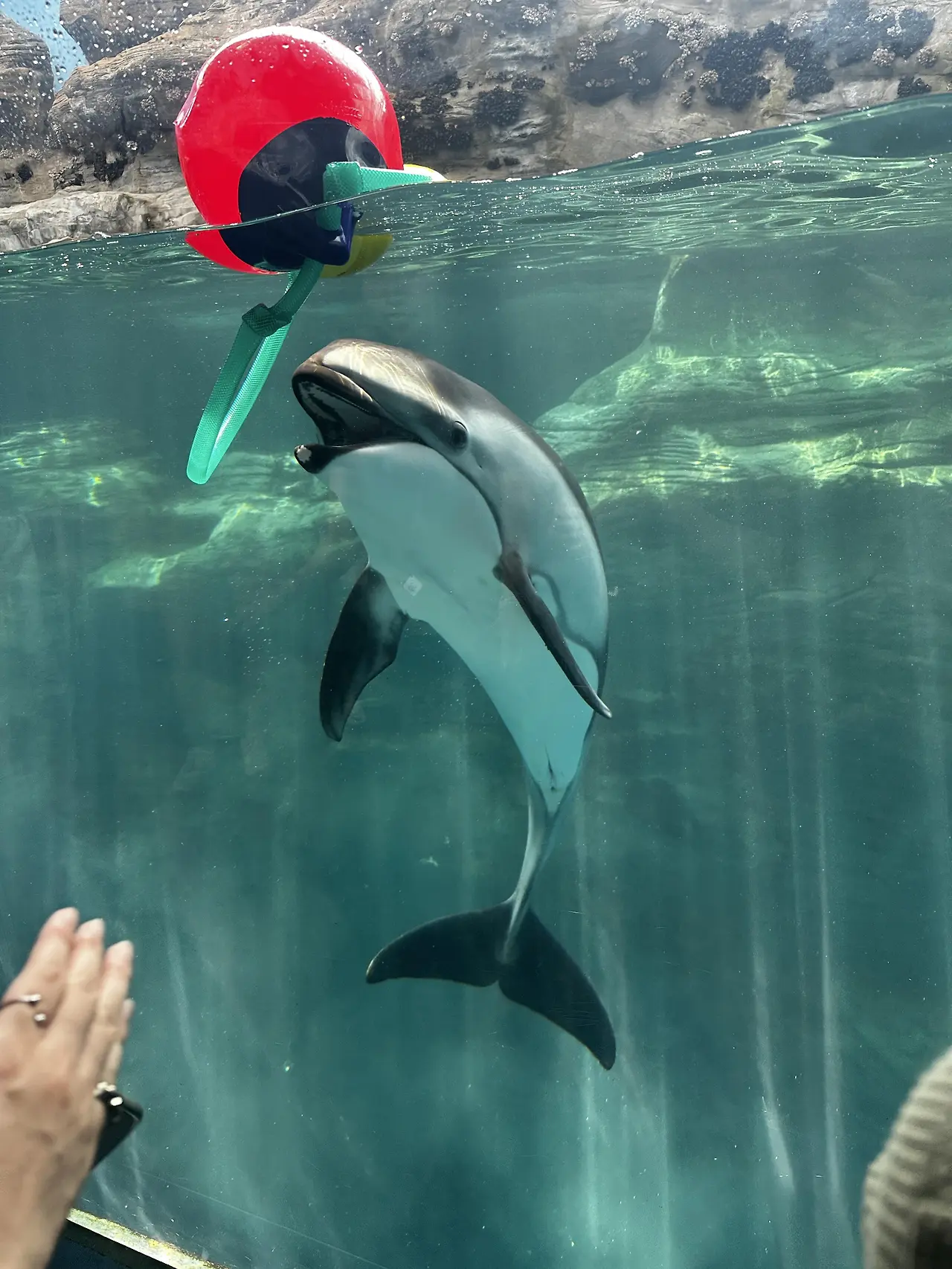 img.jpg?credential=yqXZFxpELC7KVnFOS48ylbz2pIh7yKj8&expires=1753973999&allow_ip=&allow_referer=&signature=sH6OjU3qOTBeTFitlAZa6ePEIR8%3D