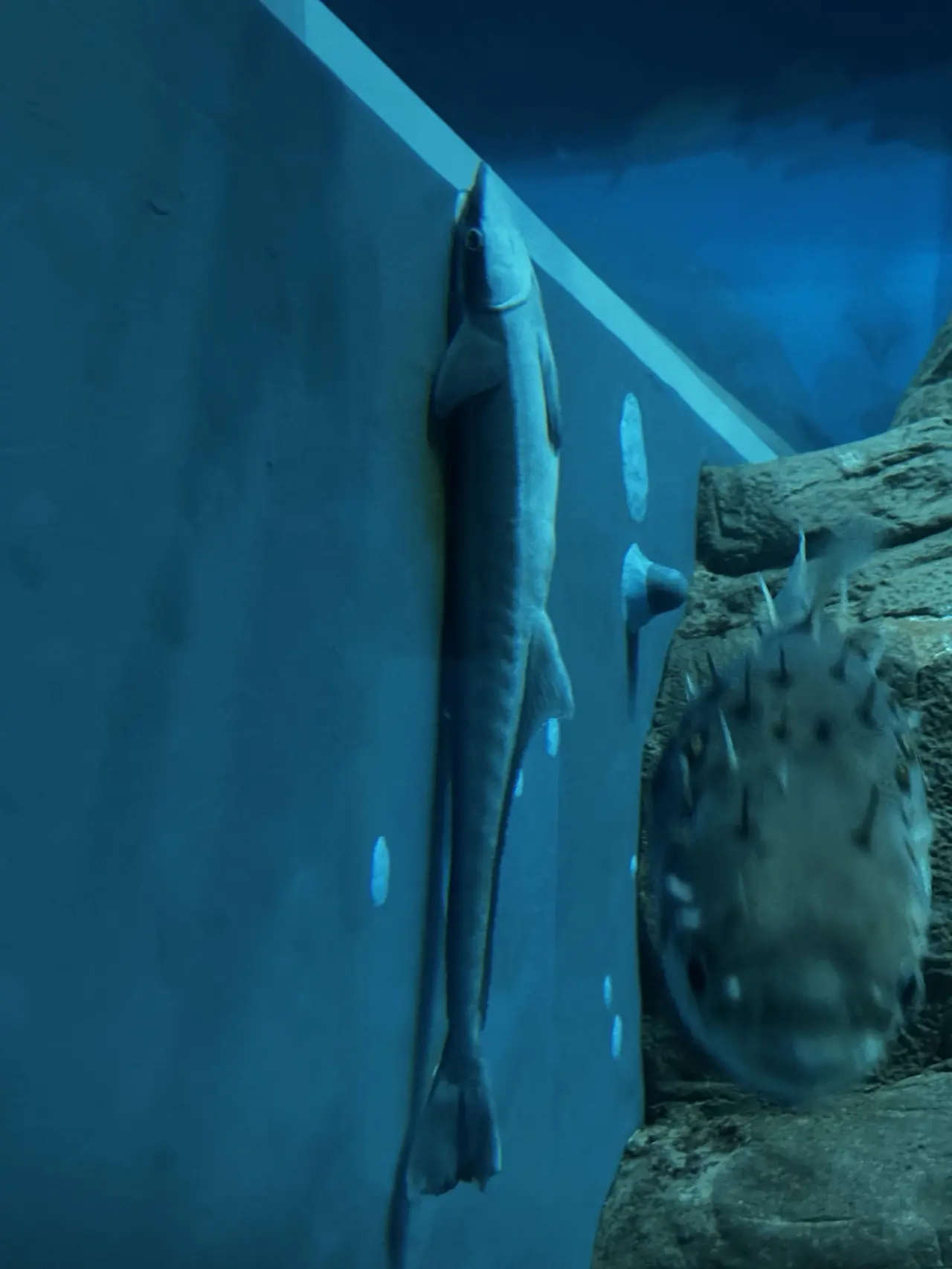 img.jpg?credential=yqXZFxpELC7KVnFOS48ylbz2pIh7yKj8&expires=1753973999&allow_ip=&allow_referer=&signature=gGwIPFDGof66PNzJBLLwpYBtpYA%3D