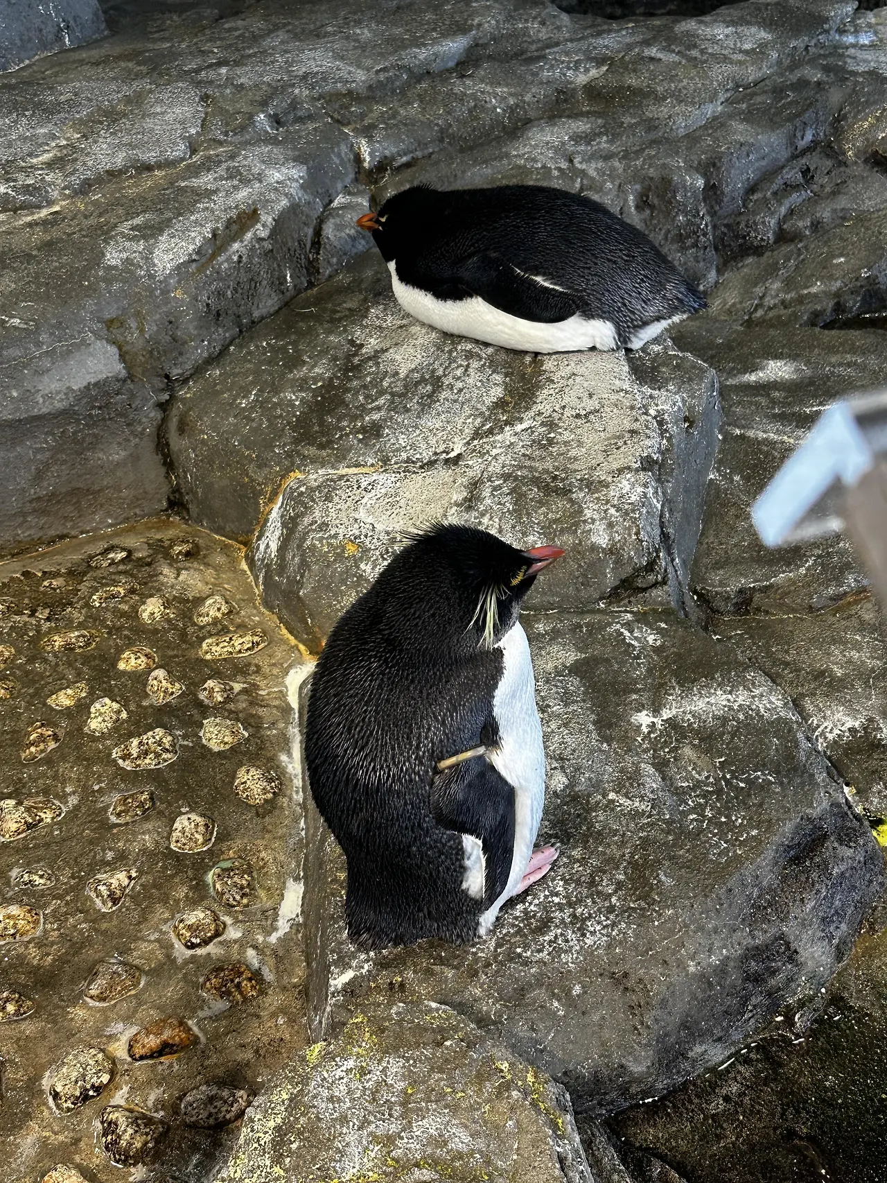 img.jpg?credential=yqXZFxpELC7KVnFOS48ylbz2pIh7yKj8&expires=1753973999&allow_ip=&allow_referer=&signature=OrtrL60Cf2kcaRO7gt9tXx4ONO4%3D