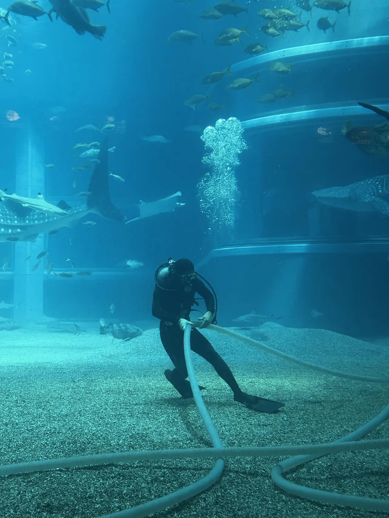 img.jpg?credential=yqXZFxpELC7KVnFOS48ylbz2pIh7yKj8&expires=1753973999&allow_ip=&allow_referer=&signature=BztFZd86%2B0jqUXcdZMyU339YTzg%3D