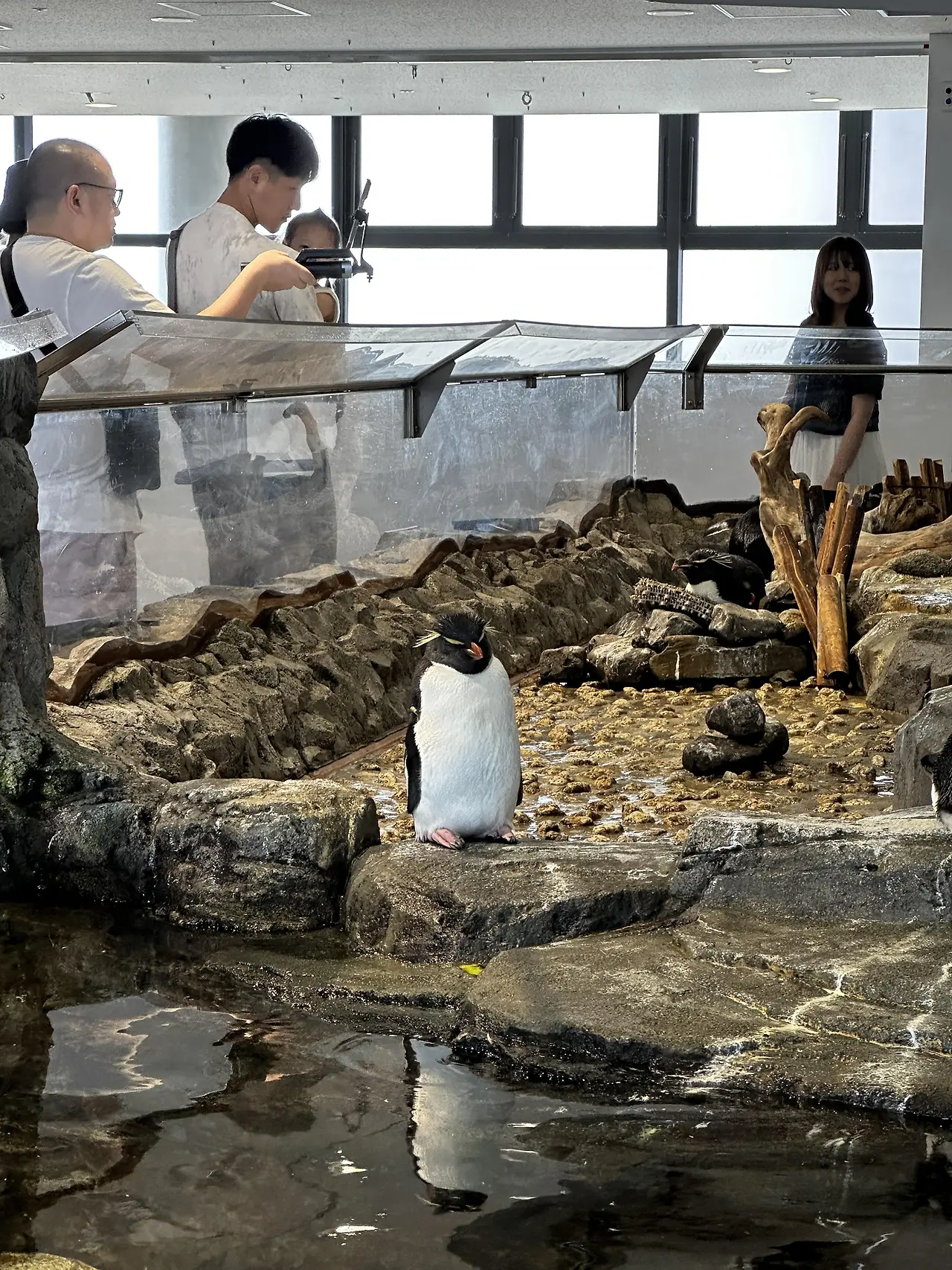 img.jpg?credential=yqXZFxpELC7KVnFOS48ylbz2pIh7yKj8&expires=1753973999&allow_ip=&allow_referer=&signature=CziH6jtkduKOGECaGy0QaRymrNk%3D