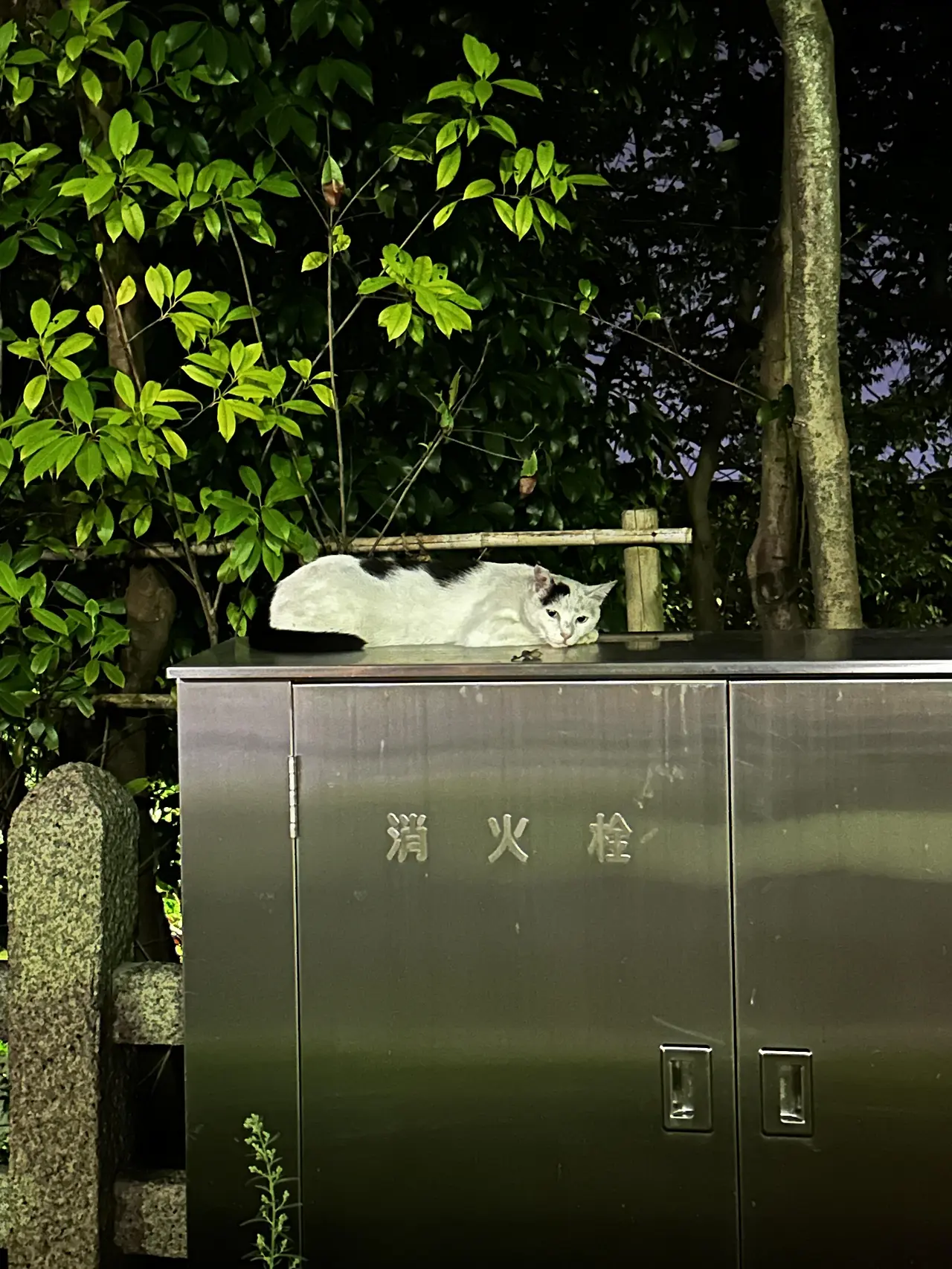 img.jpg?credential=yqXZFxpELC7KVnFOS48ylbz2pIh7yKj8&expires=1753973999&allow_ip=&allow_referer=&signature=3s8hP%2BlLEGcTOa1O4sMcd4VI%2BCU%3D