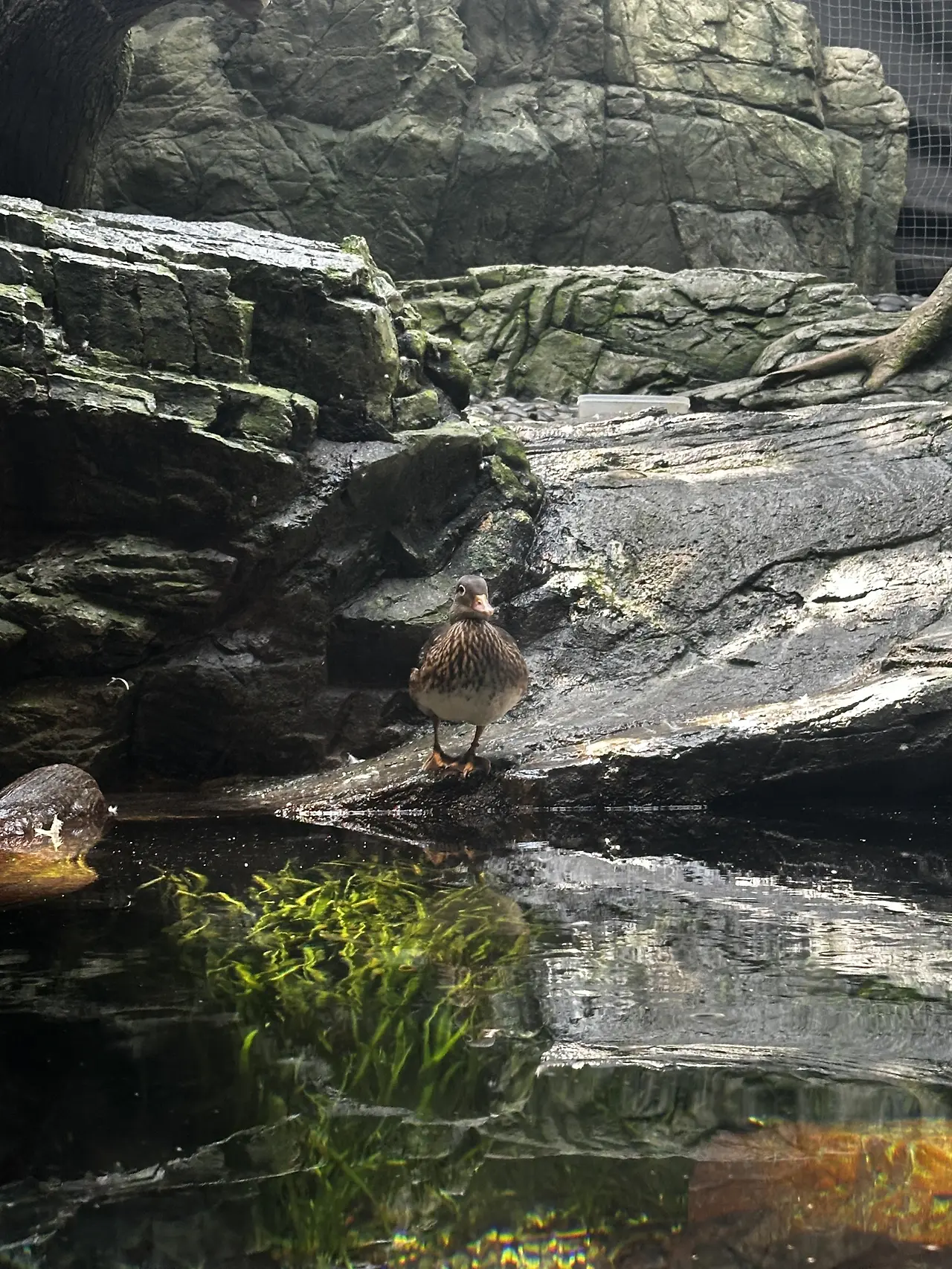 img.jpg?credential=yqXZFxpELC7KVnFOS48ylbz2pIh7yKj8&expires=1753973999&allow_ip=&allow_referer=&signature=6iksV5u6fBhzHcuqgPHHT6NBQjg%3D