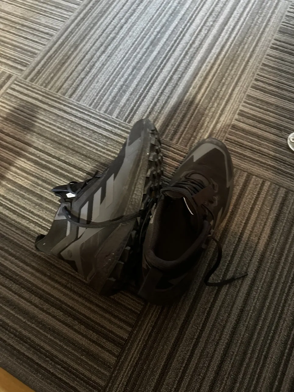 IMG_3544.JPG?type=w966