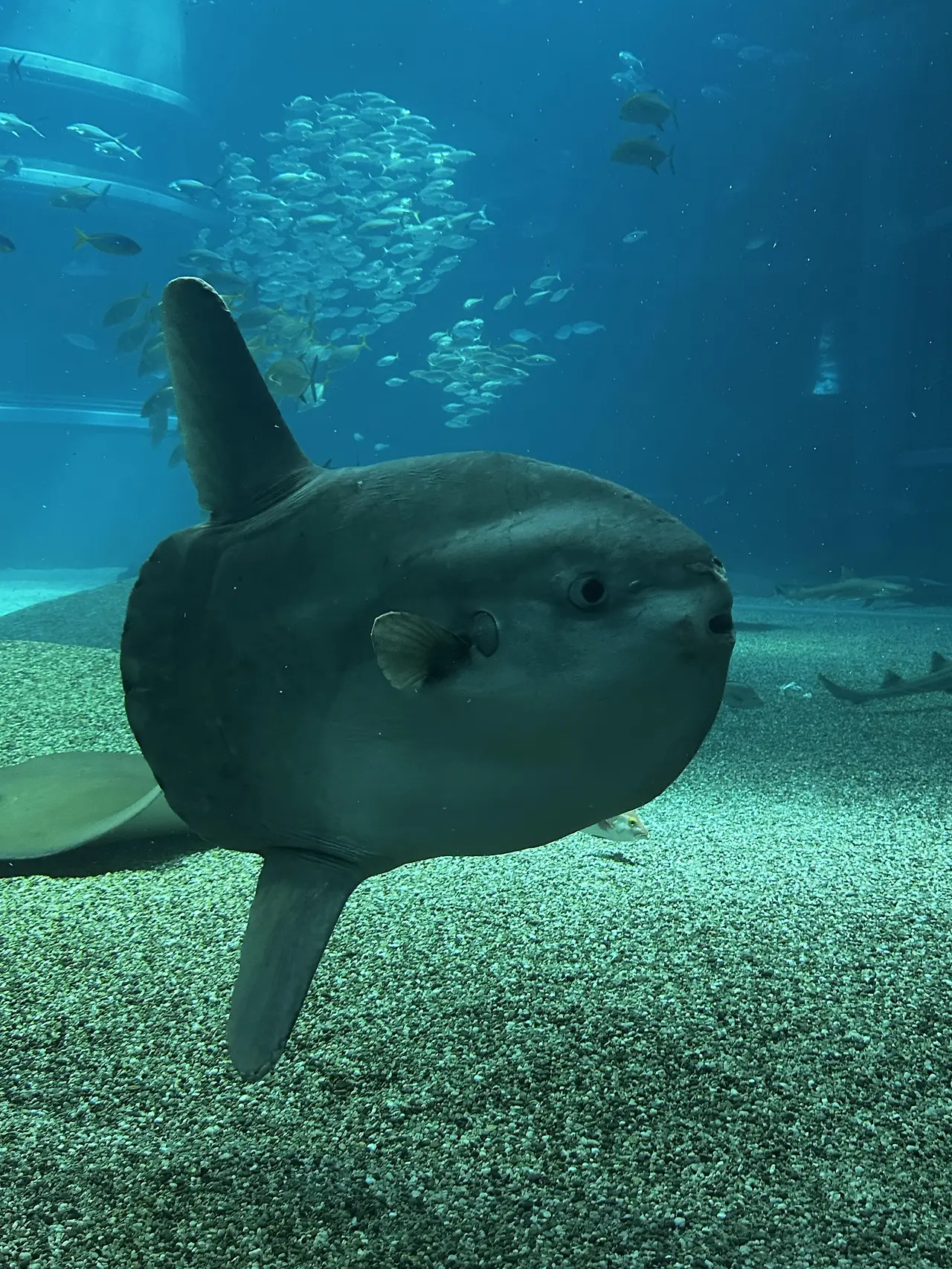 img.jpg?credential=yqXZFxpELC7KVnFOS48ylbz2pIh7yKj8&expires=1753973999&allow_ip=&allow_referer=&signature=panpxAVNQv34H4h3Ul3u02NlpvQ%3D