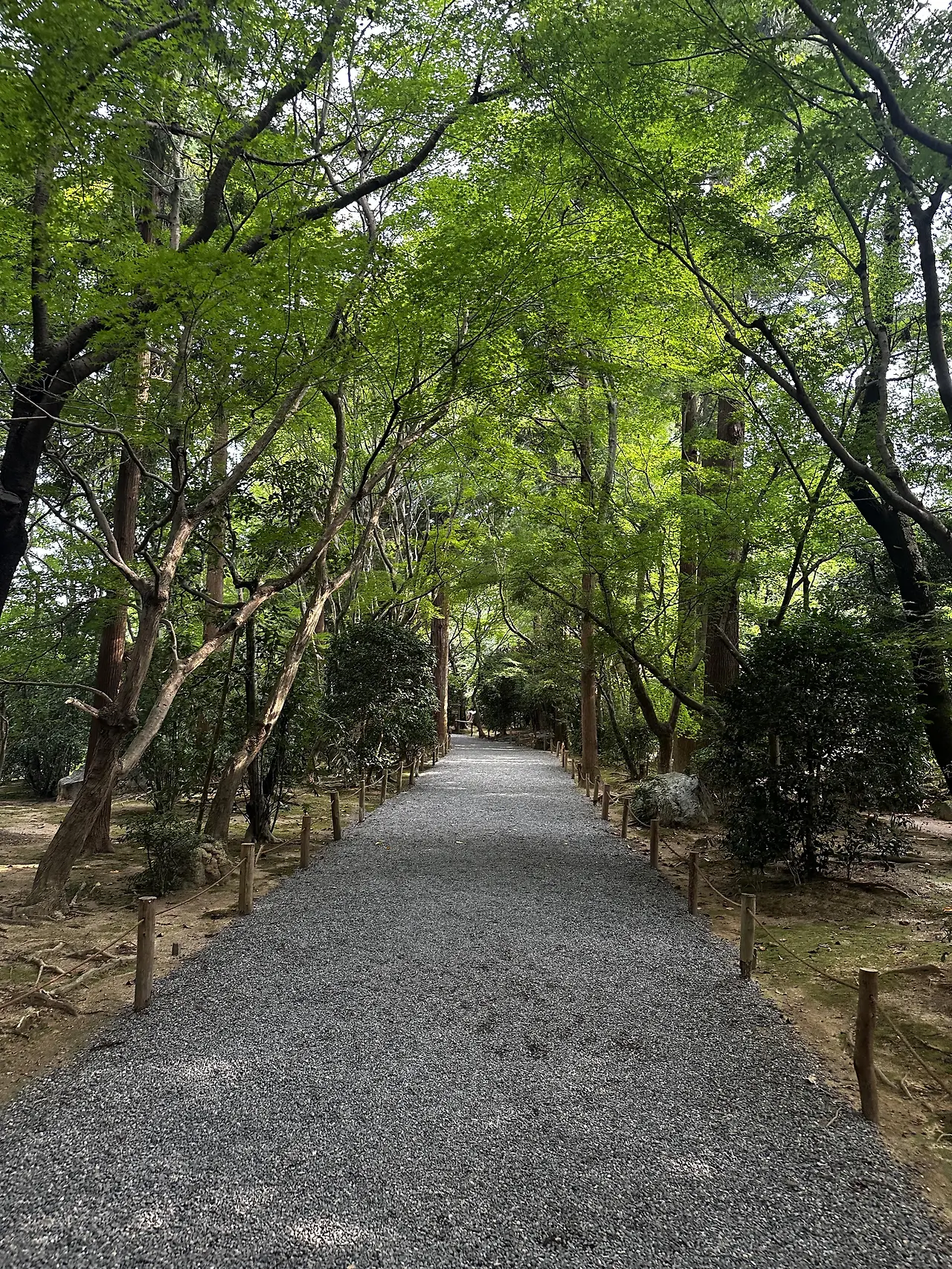 img.jpg?credential=yqXZFxpELC7KVnFOS48ylbz2pIh7yKj8&expires=1753973999&allow_ip=&allow_referer=&signature=AXDB0P1aB9QECupR0SslOu7%2FP%2Fs%3D