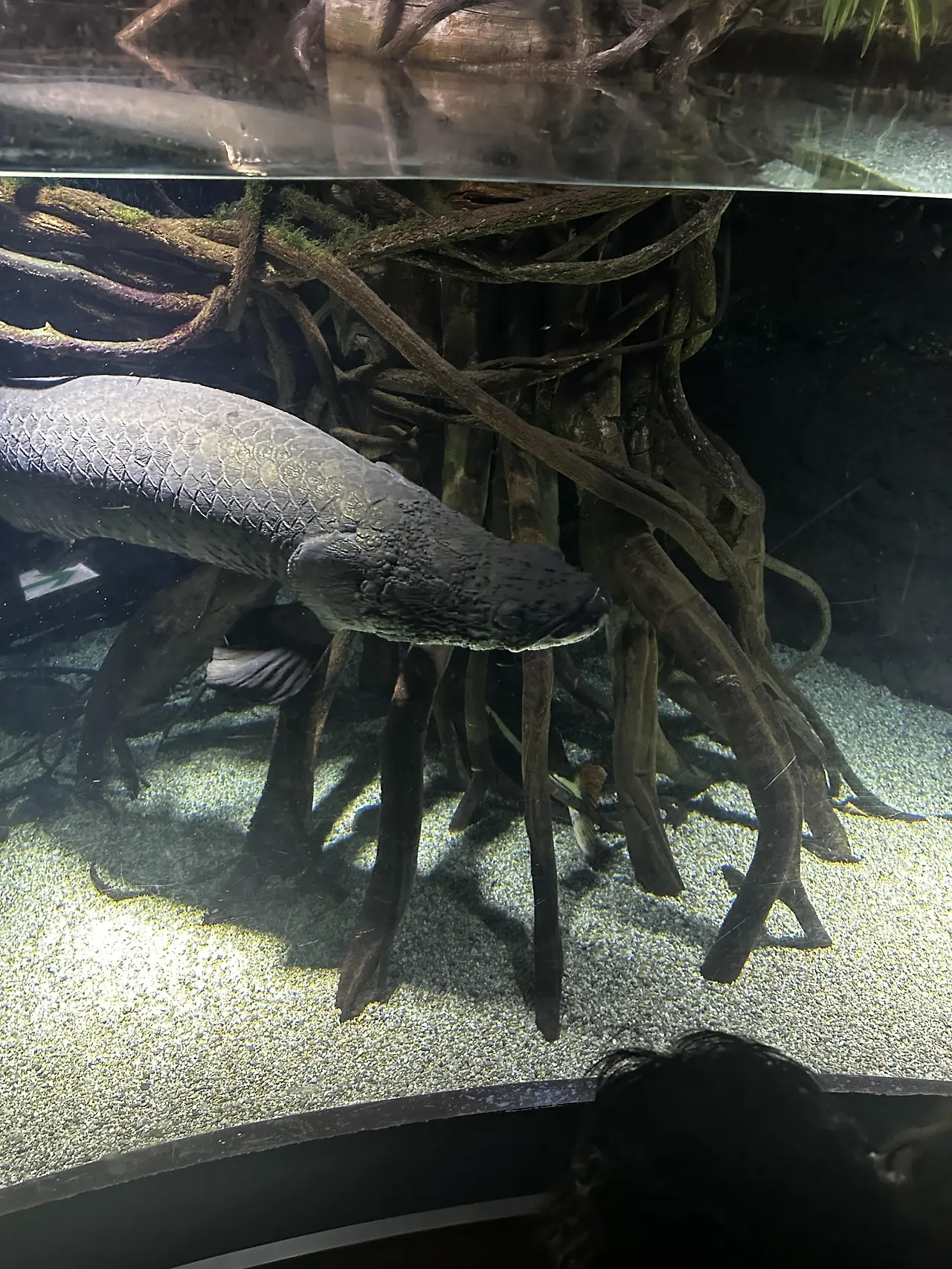 img.jpg?credential=yqXZFxpELC7KVnFOS48ylbz2pIh7yKj8&expires=1753973999&allow_ip=&allow_referer=&signature=KflXuWKK4p4Il0s235Bdgfg0ISg%3D