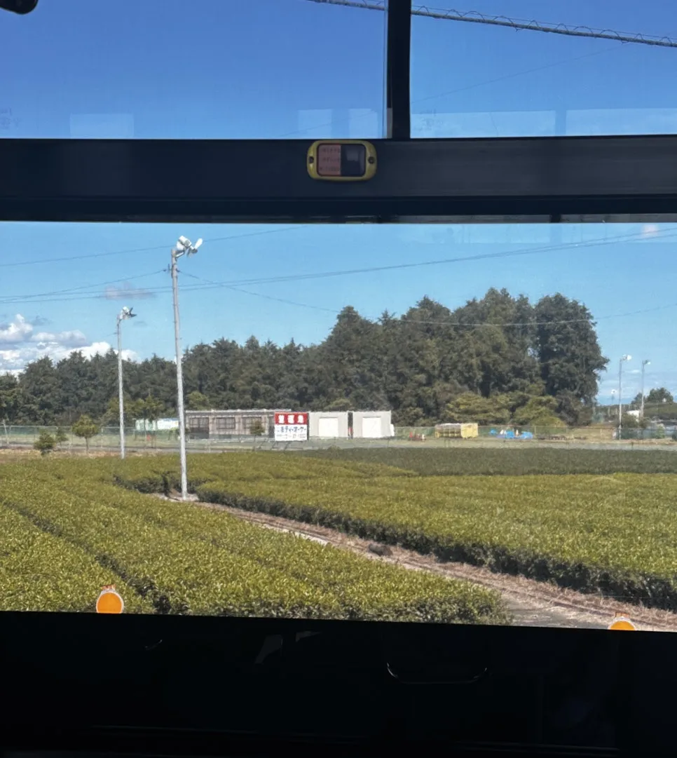 IMG_3729.jpg?type=w966