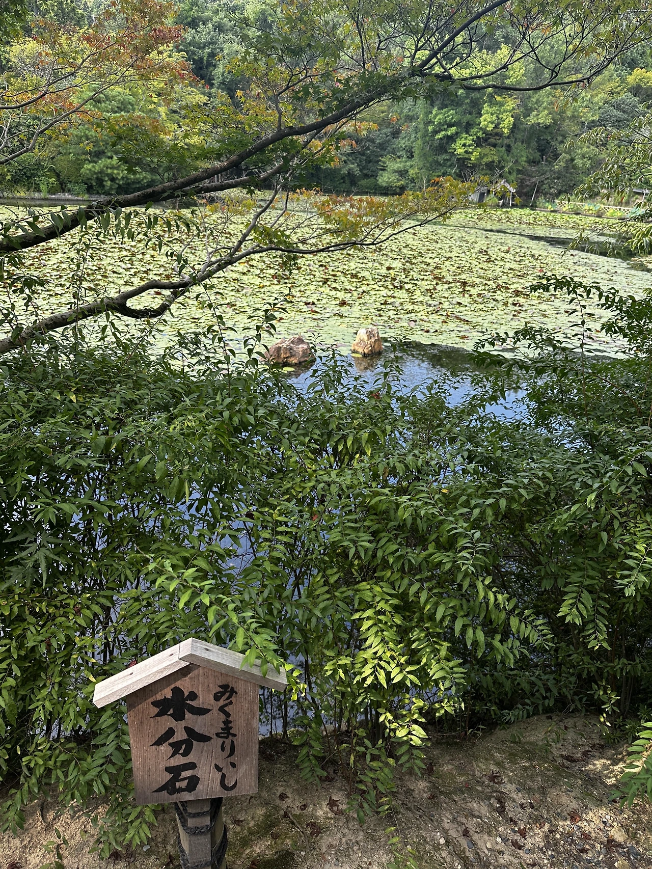 img.png?credential=yqXZFxpELC7KVnFOS48ylbz2pIh7yKj8&expires=1753973999&allow_ip=&allow_referer=&signature=H1gTKNOKeb2AFwoM9p14EXaBYW4%3D