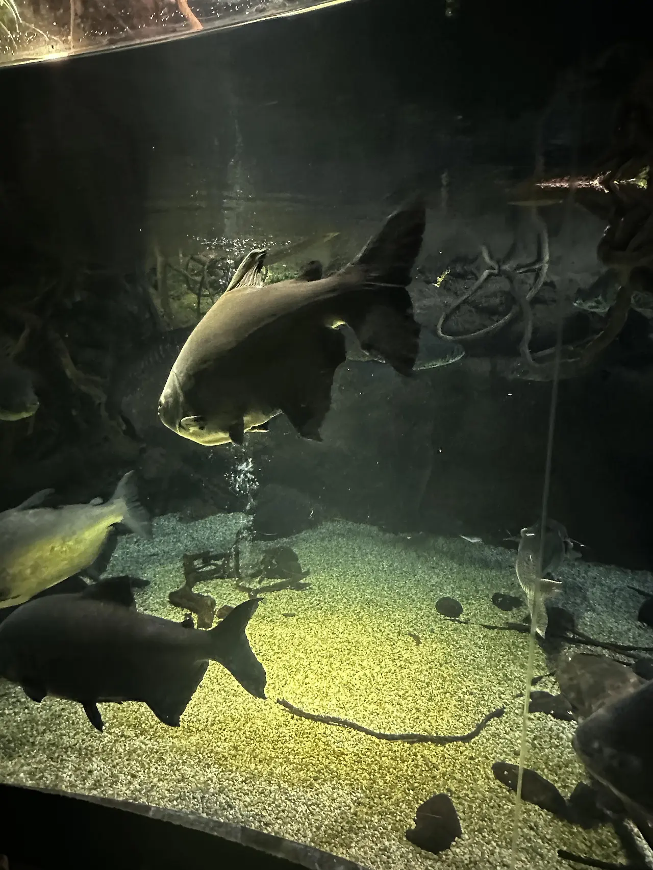 img.jpg?credential=yqXZFxpELC7KVnFOS48ylbz2pIh7yKj8&expires=1753973999&allow_ip=&allow_referer=&signature=s1J4sDy7c1%2FCowjJakjiBcXcuSs%3D