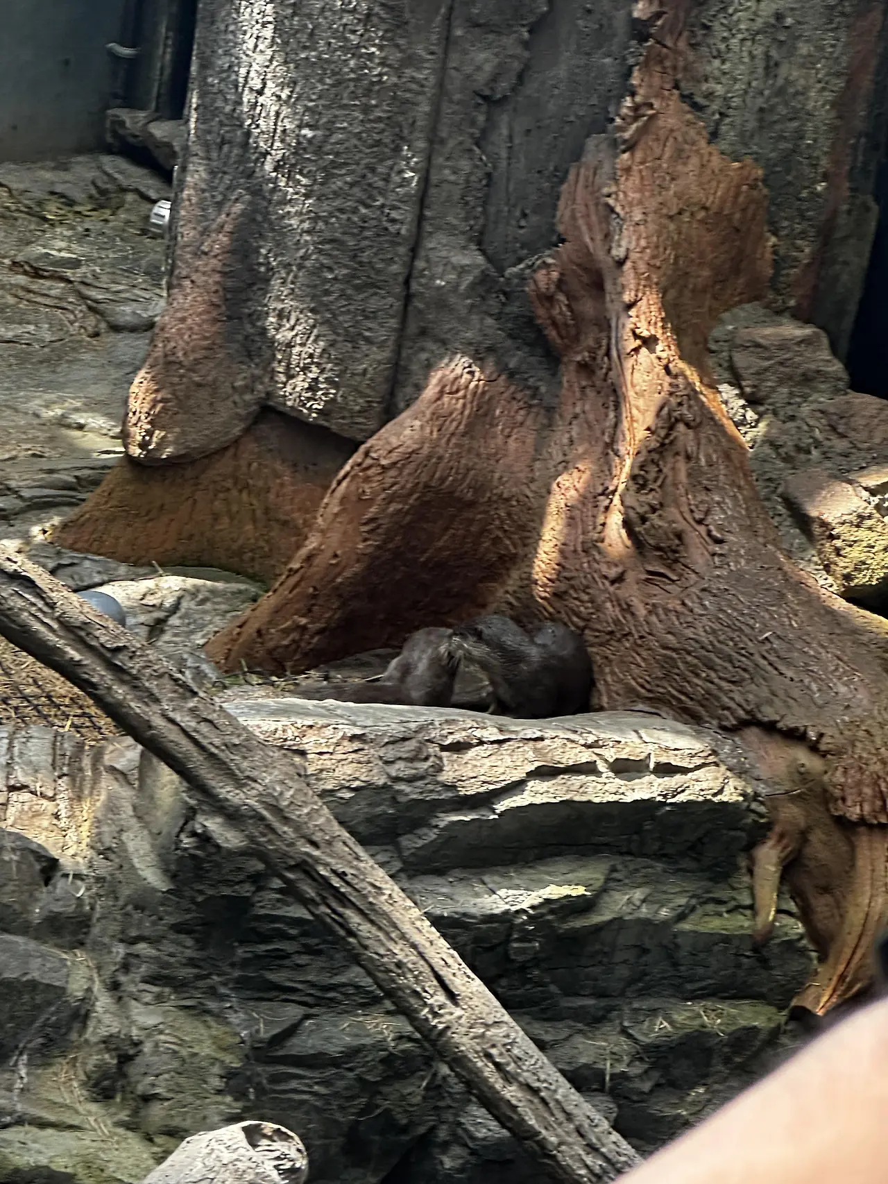 img.jpg?credential=yqXZFxpELC7KVnFOS48ylbz2pIh7yKj8&expires=1753973999&allow_ip=&allow_referer=&signature=%2FdK9Jm3KKZ%2BRCufdyAz4G35Lzvs%3D