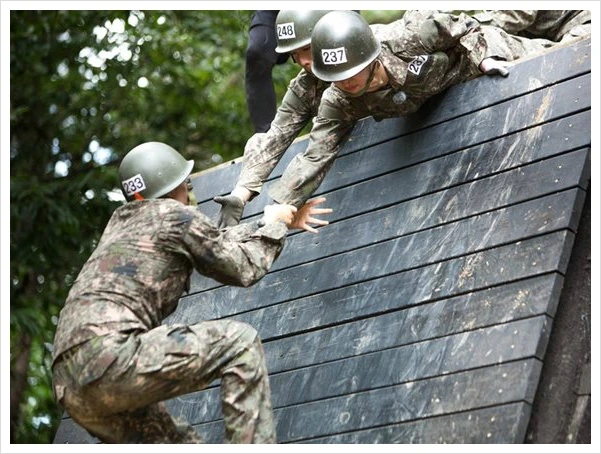 994BD4405BC0BCA726.jfif