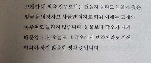 h_97bUd018svcgg7nja63o4ca_mi6z7.jpg?type=w520