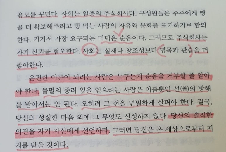 SE-929dce49-b295-11ed-9828-7779c251c1ee.jpg?type=w773