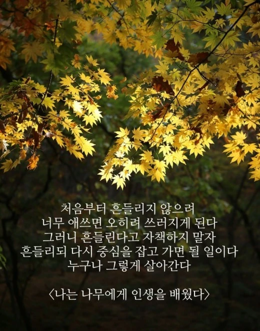 1_g23Ud018svcaqf5wum8ep1_mi6z7.jpg?type=w520