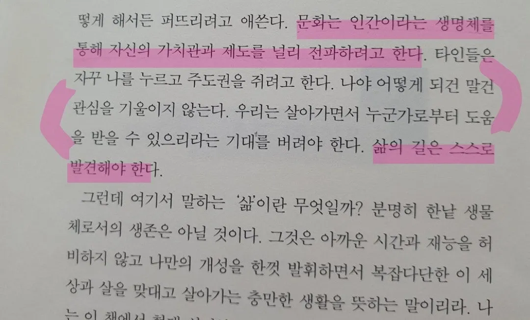 g_a7iUd018svc1rsk5p3h8jljg_mi6z7.jpg?type=e1920_std