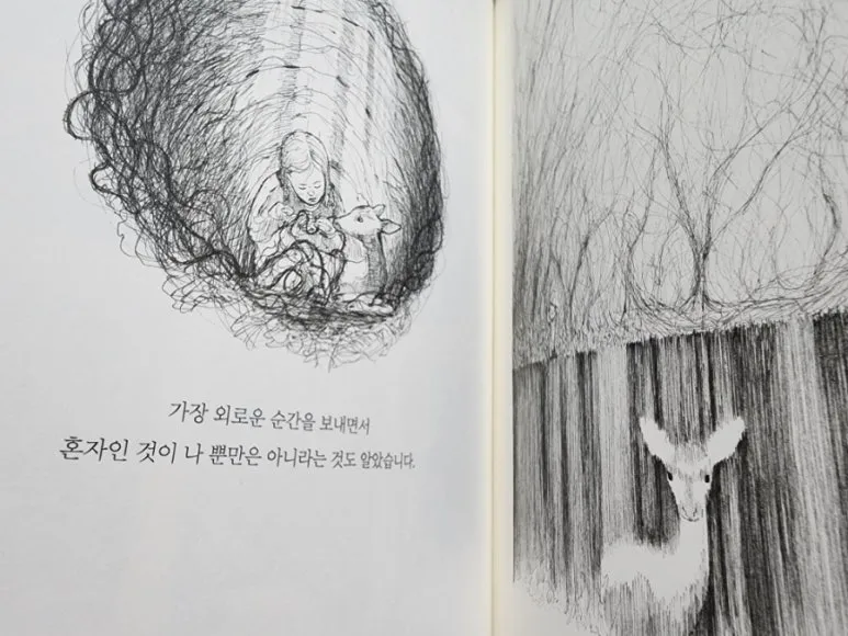 900%EF%BC%BF1737797076780.jpg?type=w773