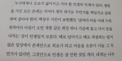 1_g23Ud018svc1dk3ffxzehrxr_mi6z7.jpg?type=w520